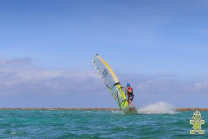 freerace windsurf in Tasmania