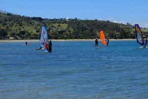 learn to windsurf in tasmania